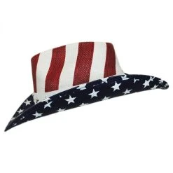 USA Flag Toyo Straw Western Hat -Bailey Hat Shop 147577