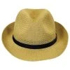 Bailey Elliot Straw Fedora Hat 2 Bailey Elliot Straw Fedora Hat -Bailey Hat Shop 235049