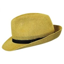 Bailey Elliot Straw Fedora Hat -Bailey Hat Shop 235052