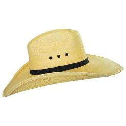 CHARLIE 1 HORSE Maverick Palm Straw Western Hat -Bailey Hat Shop 270765