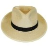 Stetson Rushmore Palm Leaf Straw Fedora Hat -Bailey Hat Shop 274693
