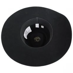 CHARLIE 1 HORSE Highway Wide Brim Wool Felt Fedora Hat -Bailey Hat Shop 387282