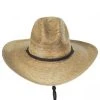 Pecos Palm Straw Gus Western Hat 2 Pecos Palm Straw Gus Western Hat -Bailey Hat Shop 392819
