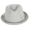 Bailey Billy Toyo Straw Braid Fedora Hat -Bailey Hat Shop 427842