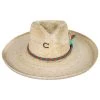 CHARLIE 1 HORSE Teepee Wide Brim Palm Straw Fedora Hat -Bailey Hat Shop 436058