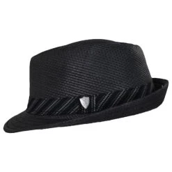 Stingy Brim Toyo Straw Fedora Hat -Bailey Hat Shop 438254
