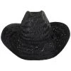 Houston Rush Straw Cowboy Hat - Black -Bailey Hat Shop 440913