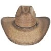 Bent Rail Trail Palm Straw Gus Western Hat 2 Bent Rail Trail Palm Straw Gus Western Hat -Bailey Hat Shop 458652