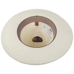 Arlo Shantung Straw Fedora Hat 7 Arlo Shantung Straw Fedora Hat -Bailey Hat Shop 472926
